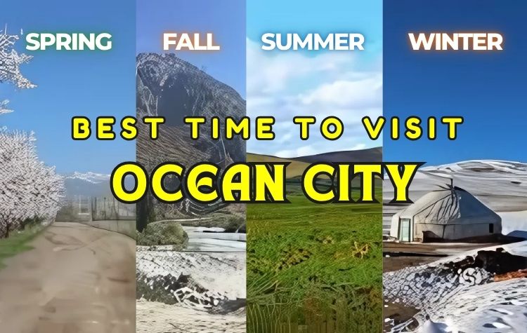 Best Time to Visit Ocean City: A Seasonal Travel Guide